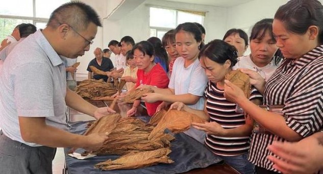 内幕！免税香烟批发网购“胸怀大志”