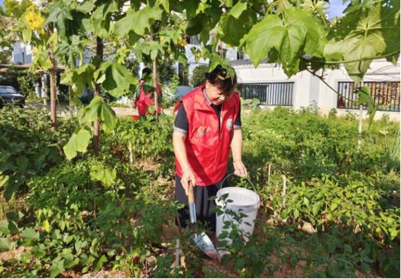 利群(软阳光出口)价格表和图片 利群(软阳光出口)图片及价格查询