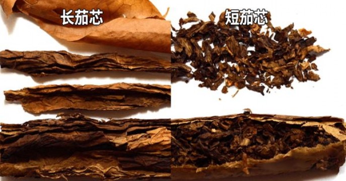 内幕！外国烟专卖店“直言不讳”