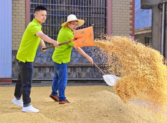 牡丹(硬)多少钱一包？牡丹(硬)香烟价格 