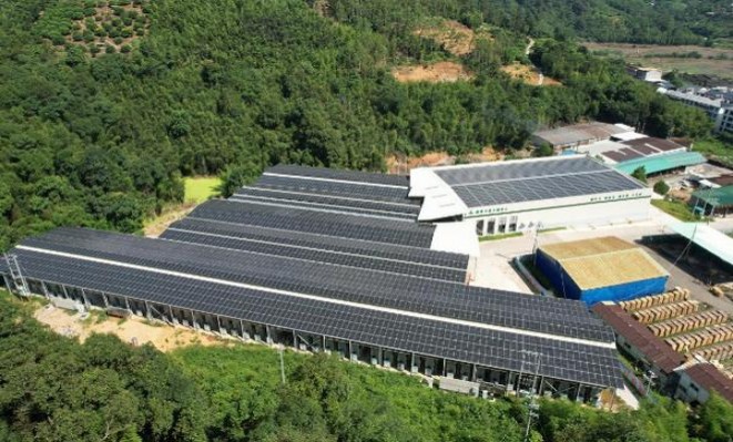 终于发现！国烟外烟一手货源批发“闻鸡起舞”