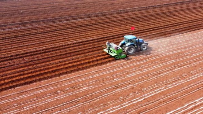 熊猫(硬经典新版)厂家价格，熊猫(硬经典新版)多少钱一包2024？