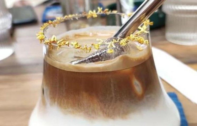 好猫(招财进宝1600)价格表一览 好猫(招财进宝1600)图片及价格 