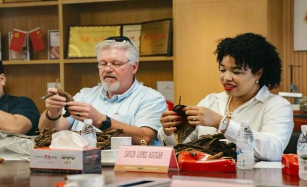 LM(硬蓝西班牙免税)一手价格，LM(硬蓝西班牙免税)什么价格？