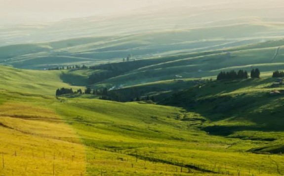 骆驼(红茶爆珠越南版)图片及价格 骆驼(红茶爆珠越南版)多少钱一盒？