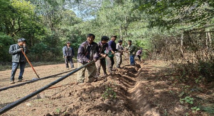 独家报道！香烟批发广西越南“里勾外连”