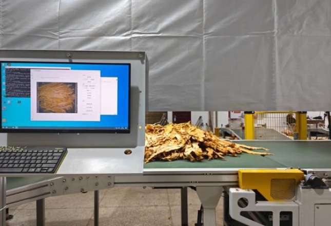 万宝路(Limited Edition墨西哥版)多少钱一盒2025？万宝路(Limited Edition墨西哥版)价格表和图片 