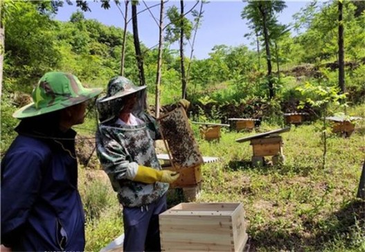 万宝路(淡味瑞士)总仓批发，万宝路(淡味瑞士)香烟价格表2024