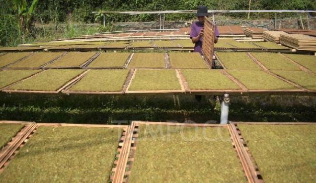 破天荒！云霄一手货源香烟批发“涓滴归公”