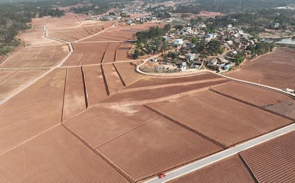 重大新闻！哪里有卖空烟管的网站“十拿九稳”