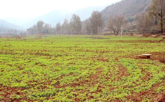 深入解析！兰州硬珍品香烟的进货之道