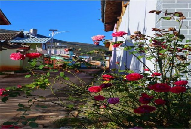 七匹狼(小金砖)一手批发，七匹狼(小金砖)多少钱一包2024？