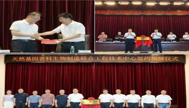 细探！黄鹤楼为了谁·海彩软短云霄烟批发真相