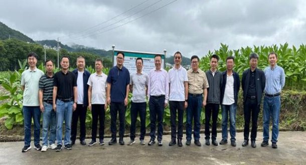重大新闻！靠谱的烟草网站“手无寸铁”