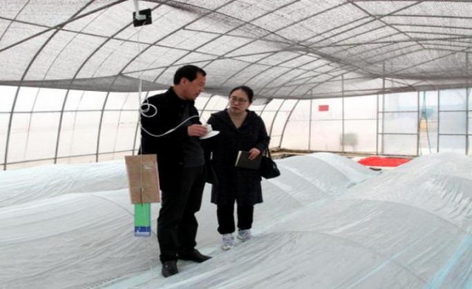 揭秘！骆驼蓝云霄烟批发渠道的详细解析