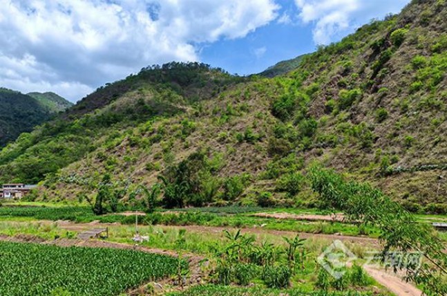 细探！龙烟北国风光香烟一手货源价格及购买渠道解析