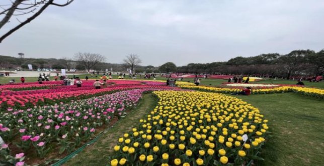 深入解析！娇子梦幻九寨沟香烟一手货源价格及购买渠道解析