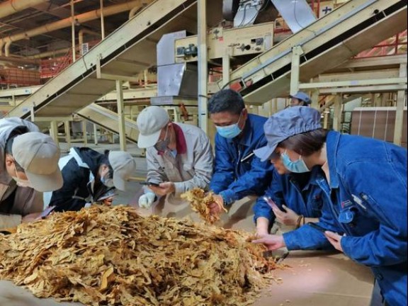 精选！黄鹤楼软红香烟的低价批发指南