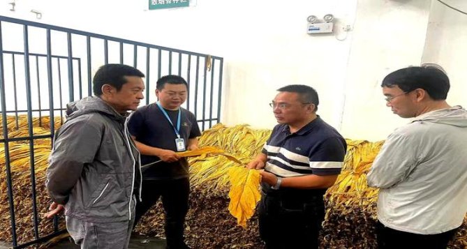 惊现！正规网购香烟批发“一尘不染”