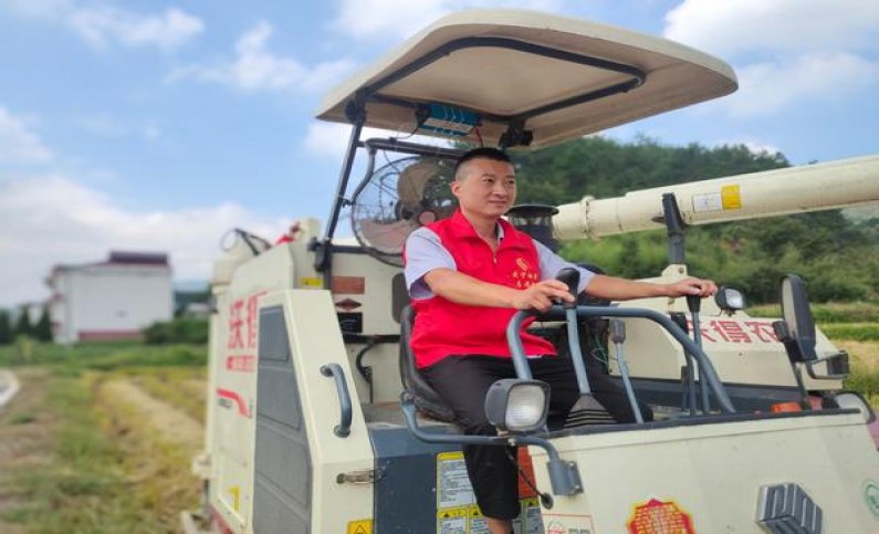 中南海胜迹价钱批发 中南海胜迹批发价格是多少？