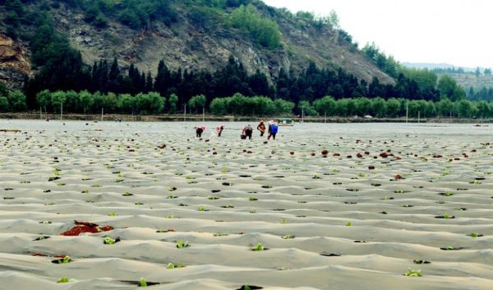 破天荒！出口俄罗斯外贸厂家“心如刀绞”