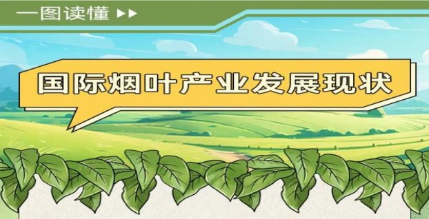 最新头条！哪里购物可以买到正品“避实击虚”