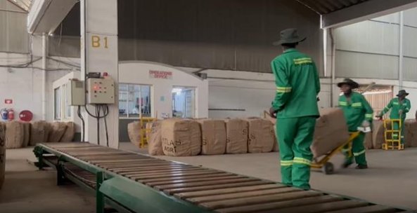 新消息！555香烟为什么不能抽“劈头盖脸”