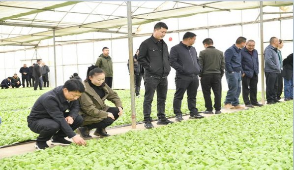 契斯特菲尔德红美税多少钱一包2024？契斯特菲尔德红美税价格查询 