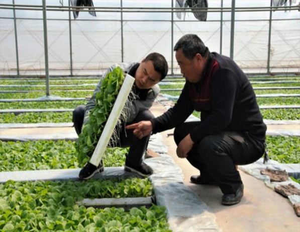 登喜路(国际版超柔和)厂家，登喜路(国际版超柔和)价钱批发