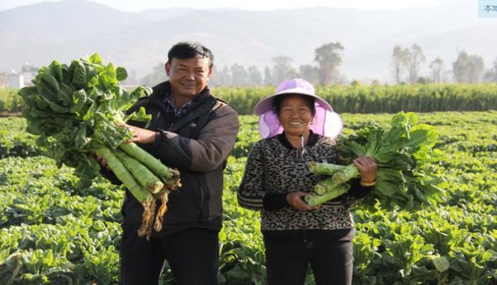 苏烟(彩中)厂家批发，苏烟(彩中)价格表和图片