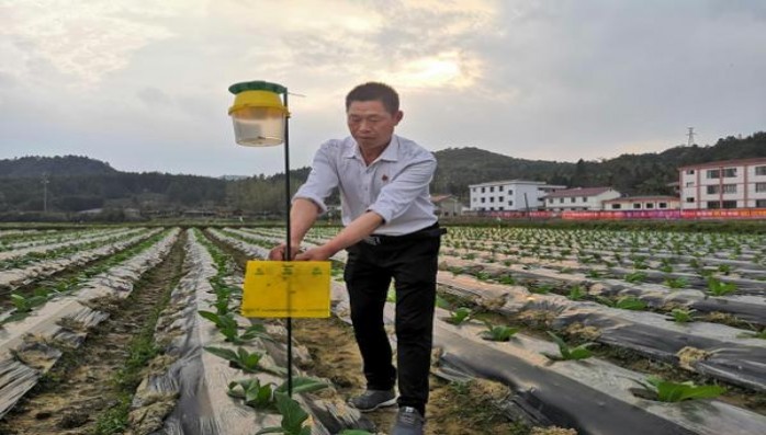 细探！玉溪细支翡翠探索独特烟草文化与创新工艺的融合