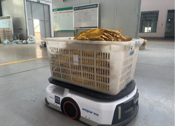 金芒果(盛世金典)多少钱一盒？金芒果(盛世金典)多少钱一包？