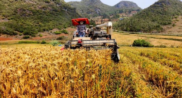 深度解析！南京梦都升级版香烟的批发奥秘