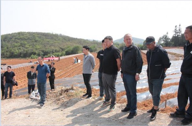 佳士达(硬红)厂家，佳士达(硬红)多少钱一包？