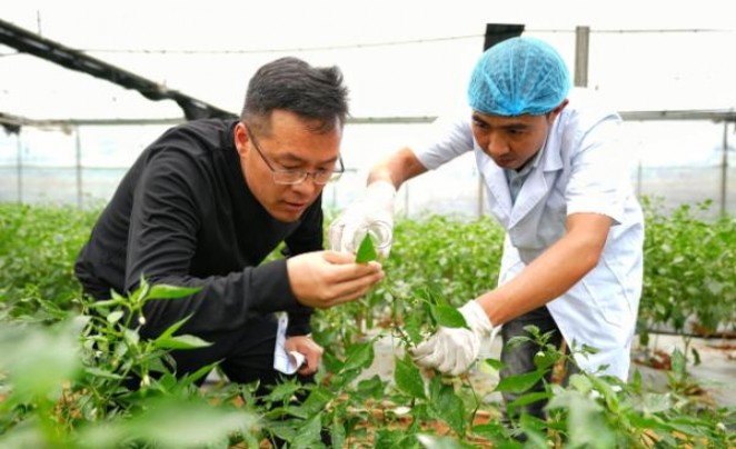 新消息！免税香烟一手货源老厂商长期低价批发香烟“迎头赶上”