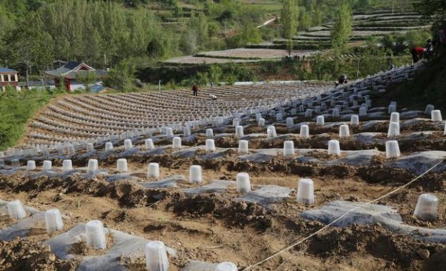 来袭！国家烟草专卖许可证网上申请平台“千呼万唤”