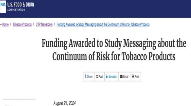 红梅(硬黄)图片及价格 红梅(硬黄)图片及价格查询