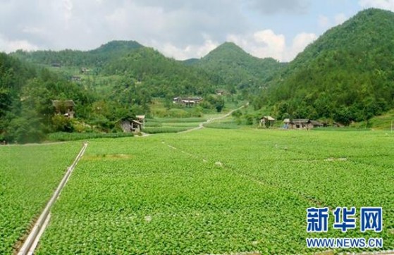 头条！烟订货量少“孤芳自赏”