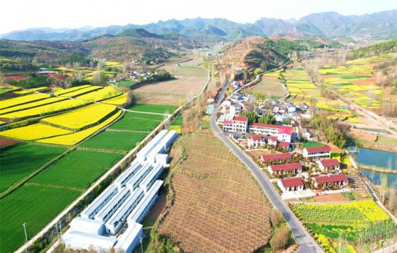 紫气东来(吉祥天下)图片及价格查询紫气东来(吉祥天下)价格表一览 