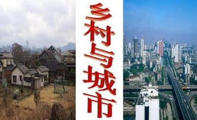 黄金叶(老道智慧)香烟正品价格表 黄金叶(老道智慧)多少钱一包2025？