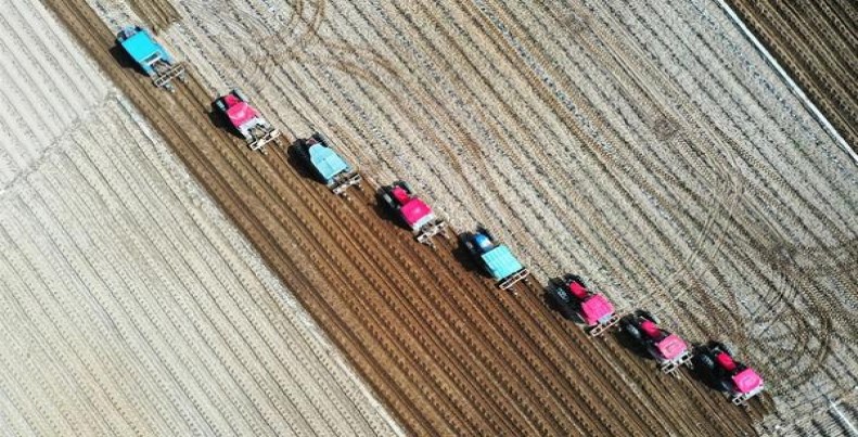 石林(软)香烟正品价格表 石林(软)参数详解 