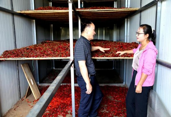 七星黄标韩免版多少钱一盒2024？七星黄标韩免版什么价格？