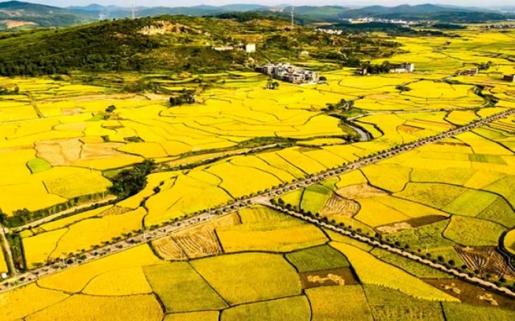 来袭！烟草网上订货平台视频“万箭齐发”