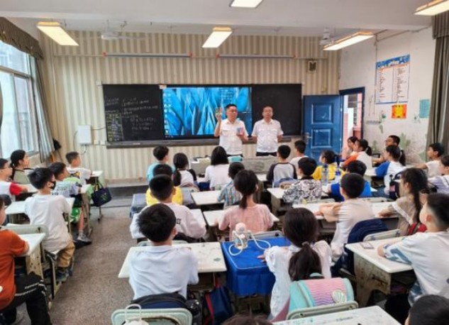 新石家庄红石2代什么价格？新石家庄红石2代多少钱一包2024？