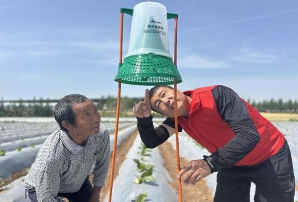 泰山双马细支多少钱一盒？泰山双马细支什么价格？