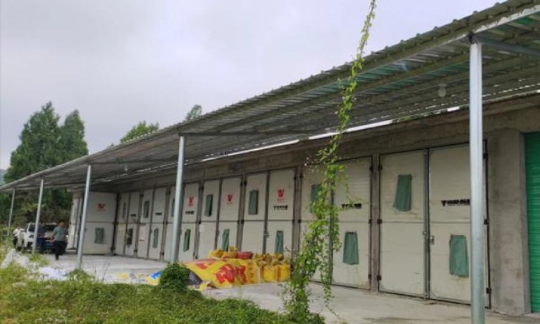 独家报道！正品香烟厂家直供“黄梁一梦”