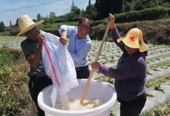 揭秘！娇子宽窄·五粮醇香香烟一手货源价格及购买渠道解析