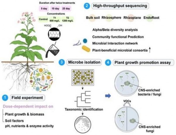 兰州(飞天花径中支)价格表和图片 兰州(飞天花径中支)什么价格？