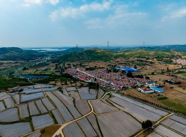 熊猫(典藏中支)多少钱一包？熊猫(典藏中支)什么价格？