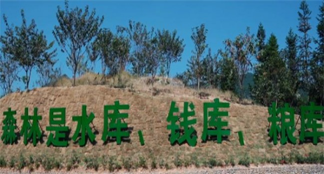 破天荒！2022免税烟一手货源价格表“不可计数”